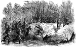 "Successful charge of Company H, first Massachusetts regiment (Captain Carruth), on a Confederate redan before Yorktown, April 26th, 1862. On the morning of Saturday, April 26th, 1862, Company H of the first Massachusetts Volunteers, led by Camptain Carruth, made a most brilliant charge on a Confederate redoubt, and took it at the point of the bayonet. It was defended by a company of the First Virginia Regiment, who fought with that Old Dominion valor which, to use a phrase probably heard before, "was worthy of a better cause." The Federals were exposed to a most galling fire from the instant they left the shelter of the woods until they reached the brink of the deep ditch fronting the parapet." — Frank Leslie, 1896