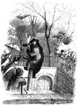 A bear climbing a tree, with spectators watching.
