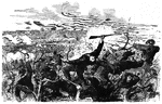 "Battle of Munfordville, Ky., Sunday, September 14th, 1862- the Confederates charging through the abatis in front of the fortifications near Green River. Our correspondent reports of this battle: 'At five o'clock the Confederates were seen forming in front of our rifle pits, and soon, from the cover of the woods and abatis, began the engagement by a rapid fire of musketry. It was plainly seen that a disposition of our men was being made by Colonel Wilder to repel the attack anticipated on the left, and, thinking it a favorable hour, the Confederate force made a desperate assault on our right. This was made by a Mississippi and a Georgia regiment. The assault was led by the colonel of the Mississippi regiment, and he died for his daring. The major of the same regiment was wounded and taken prisoner. The newly formed Confederate right marched from the woods in splendid order, with ranks apparently full. When they appeared over the brow of the hill it was at a double-quick; all pushed on with desperate courage, to meet resistance not the less desperate. With grape from the artillery and a shower of balls from the musketry they were met and moved down; but they never faltered; and it was only when they sprang on the breastworks and were met with the bayonet that they fell back, leaving the field strewn with their dead and dying. After a momentary struggle on the breastworks the whole Confederate force broke into disorder and fled from the field.'" —Leslie, 1896