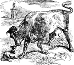 This is the Cow with the crumpled horn, that tossed the Dog, that worried the Cat, that killed the Rat, that ate the malt, that lay in the house that Jack built.