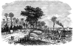 "Lake Providence, La., headquarters of General McPherson and the Federal division under his command. Our artist wrote: 'The Seventeenth Army Corps, under General McPherson, have been exceedingly fortunate in being ordered to Lake Providence, La. Their tents are pitched in pleasant places. I have not seen a position anywhere along the Mississippi River, or anywhere else, which offers such inducements for any army 'to stay awhile' as the banks of this beautiful lake. There is a little town on the landing, which is only fit for, and therefore only occupied by, negro quarters and sutler shops. The lake is immediately back of the village, and not more than a quarter of a mile from the river. Immense cotton fields stretch away on both sides of it, and beautiful residences, surrounded by elaborate gardens full of Southern shrubbery, adorn its banks.'"— Frank Leslie, 1896