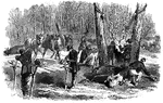 "Butchering and dressing cattle for distribution to the Federal Army. The romance and reality of life were never so strikingly displayed as in the Civil War. Fact and fiction never seemed more apart than the soldier waving his sword when leading the forlorn hope and when sitting before his tent cooking rations; for, despite all the commissariat arrangements, there was much room for improvement in these particulars. We give a couple of sketches which will enable our readers to see how matter-of-fact and mechanically base were some of the soldier's employments when in camp. Men who would shrink from turning butcher in New York, boston or Philadelphia were forced by the resistless tide of circumstances to lend a hand to the killing a beeve and afterward to the dressing and cooking it."&mdash; Frank Leslie, 1896