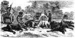 "The war in Virginia. Caissons and horses on the field at Bristoe Station."— Frank Leslie, 1896