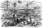 "The war in Virginia. General Butler's lines south of the James, Va., with troops in position near the Federal centre, awaiting an attack previous to the arrival of General Grant's army, June 3rd, 1864. The sudden transfer of operations by General Grant from the old battle ground on the Chickahominy, historic from the bloody campaign of 1862, and laden with the deadly miasm of the Chickahominy swamps, to the point south of the James River occupied by General Butler, gave that comparatively fresh locality additional interest to the public. We lay before our readers a sketch of the fortifications between the James and the Appomattox. Our view is taken from within, showing the shelter tents inside the works, and the men manning the line, awaiting an attack of the enemy."— Frank Leslie, 1896
