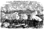 "Siege of Petersburg- the Ninth Corps charging on the enemy's works after the explosion of the mine, July 30th, 1864. Immediately after the explosion of the mine a hundred cannons opened along the Federal front, and at half-past five the Ninth Corps charged, carrying the fort with a part of the line on each side. The Second Division, which was in the centre, advanced and carried the second line a short distance beyond the fort, and rested, holding ground with the utmost determination. It was at the time the [African American] Division, under General White, was pushed forward and ordered to charge and carry the crest of the hill, which would have decided the contest. The troops advanced in good order as far as the first line, where they received a galling fire, which checked them, and although quite a number kept on advancing, the greater number seemed to become utterly demoralized, part taking refuge in the fort, and the remainder running to the rear as fast as possible. They were rallied and again pushed forward, but without success, the greater part of the officers being killed or wounded."&mdash; Frank Leslie, 1896