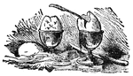 In Lilliput, the primitive way of breaking eggs before eating them, was upon the larger end.