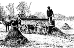 A farmer spreading manure by throwing it in piles and spreading it around.