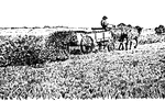A manure spreader in operation. The manure was pitched from the stable to the spreader, handled only once.