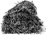 A stack of alfalfa.