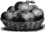 A basket filled with several large beets.
