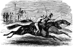 Two horses racing