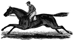 "The fastest race horse in the world. His best time, May 24, 1877, was 1.39 for one mile." — S. G. Goodrich, 1885