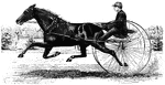 A race type buggy being drawn behind a race horse.