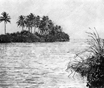 "The mouth of th Miami River, Florida, whenever Florida started to be devloped in the 1890's."—E. Benjamin Andrews 1895