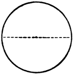 A circle divided evenly by a dotted line.