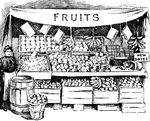 A fruit market selling a wide variety.