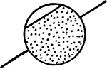 With small dots, whichcanoften be seen only with a lens.