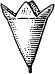 Top shaped or conical with the broad end uppermost.