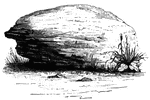 Brant's Rock. This rock, which is about four feet high, lies in a field on the left of the road leading from Cherry Valley to the Mohawk, about a mile and a half north of the residence of Judge Campbell. It is a fossiliferous mass, composed chiefly of shells. Behind this rock the body of Lieutenant Wormwood, lifeless and the head scalped, was found by the villagers, who had heard the firing on the previous evening. Judge campbell, who accompanied us to the spot, pointed out the stump of a large tree by the road side, as the place where Lieutenant Wormwood fell.