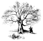 The Charter Oak. This venerable relic is still virgorous, and is a "gnarled oak" indeed. It stands upon the northern slope of the Wyllys Hill, a beautiful elevation on the south side of charter Street, a few rods east of Main Street. This engraving is from a sketch which I made of the tree from Charter Street, on the 3d of October, 1848. I omitted the picket fence in front, in order to show the appearance of the whole trunk.