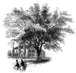 "The Washington Elm. The horse seen in this sketch is one of the oldest in Cambridge, having been built about 1750. It has been in the posession of the Moore family about seventy-five years. Since I visited Cambridge I have been informed that a Mrs. Moore was still living there, who, from the window of that house, saw the ceremony of Washington taking command of the army."&mdash;Lossing, 1851