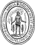 Seal of Massachusetts Bay Company