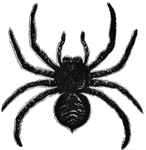 "The most celebrated of the Lycosidae is the Tarantula, <em>Lycosa tarantula</em>, of Southern Europe, whose bite is supposed by the natives of Italy to cause death, unless the patient be relieved by music and violent dancing." &mdash; Goodrich, 1859