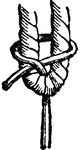 "Knots and splices include all the various methods of tying, fastening, and joining ropes or cords. Generally, the requirements of a useful knot may be stated to be that it should neither 'slip' nor 'jam'&ndash; I. e. that, while it holds without danger of slipping while the strain is on it, when slackened it should be easily untied again. For attaching a small line to a thick rope the becket hitch (17) is very useful."&mdash;(Charles Leonard-Stuart, 1911)