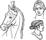 "Amphyces, Frontlets. A frontal, a broad band or plate of metal, which ladies of rank wore above the forehead as part of the head-dress. The frontal of a horse was called by the same name. The annexed cut exhibits the frontal on the head of Pegasus, in conrast with the corresponding ornament as shown on the heads of two females." &mdash; Smith, 1873