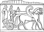 "The rim or border of anything, especially of a shield or chariot. The trim of the large round shield of the ancient Greeks, was thinner than the part which it enclosed: but on the other hand, the antyx of a chariot must have been thicker than the body to which it gave both form and strength. In front of the chariot the antyx was often raised above the body, into the form of a curvature, which served the purpose of a hook to hang the reins upon." &mdash; Smith, 1873