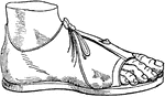 "A shoe or boot, anything adapted to cover and preserve the feet in walking. The use of shoes was by no means universal amount the Greeks and Romans. The Homeric heroes are represented without shoes when armed for battle. Socrates, Phocion, and Cato, frequently went barefoot. The Roman slaves had no shoes. the covering of the feet was removed before reclining at meals. People in grief, as for instance at funerals, frequently went barefooted. Shoes may be divided into those in which the mere sole of a shoe was attached to the sole of the foot by ties or bands, or by a covering for the toes or the instep; and those which ascended hgher and higher, according as they covered the ankles, the calf, or the whole of the leg. To calceamenta of the latter kind, i.e. to shoes and boots, as distinguished from sandals and slippers, the term calceus was applied in its proper and restricted sense." &mdash; Smith, 1873; This image shows Calceus, Men's Shoes.