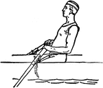 "Rowing is the propulsion of a boat by oars. The oarsman sits with his face to the stern of the boat, his feet planted flush against his 'stretcher' or footboard, and the handle of the oar in his hands, the loom of the oar resting in the rowlock, the 'button' being inside the thowl-pin. 2, end of the stroke."&mdash;(Charles Leonard-Stuart, 1911)