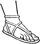 "The Sandal is a protection for the foot, worn in ancient times. It was usually a sole of hide, leather, or wood, bound on the foot by thongs. It was undoubtedly the custom to take off the sandals on holy ground, in the act of worship, and in the presence of a superior. This is still the well-known custom of the East&ndash; an Oriental taking off his shoe in case in which a European would remove his hat."&mdash;(Charles Leonard-Stuart, 1911)