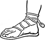"The Sandal is a protection for the foot, worn in ancient times. It was usually a sole of hide, leather, or wood, bound on the foot by thongs. It was undoubtedly the custom to take off the sandals on holy ground, in the act of worship, and in the presence of a superior. This is still the well-known custom of the East&ndash; an Oriental taking off his shoe in case in which a European would remove his hat."&mdash;(Charles Leonard-Stuart, 1911)