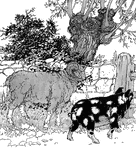 Scene from "The Ram and the Pig Who Went to Live in the Woods."