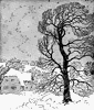 The Winter ClipArt gallery provides 110 illustrations of the season, including snowflake clipart and leafless trees.

<p>You may also be interested in <a href="https://etc.usf.edu/clippix/pictures/winter/">Winter Photographs</a> from our <a href="https://etc.usf.edu/clippix/">ClipPix ETC</a> website or <a href="https://etc.usf.edu/presentations/extras/letters/theme_alphabets/index.html">Winter Themed Alphabets</a> from our <a href="https://etc.usf.edu/presentations/index.html">Presentations ETC</a> website.