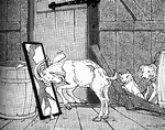 Scene from the story, "The Animals and the Mirror."