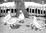 Scene from the story, "The Ugly Duckling."