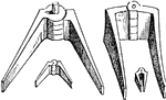 A hinge or pivot. The first figure, in the annexed woodcut, is designed to show the general form of a door, as we find it with a pivot at the top and bottom in ancient remains of stone, marble, wood, and bronze. The second figure represents a bronze hinge in the Egyptian collection of the British Museum: its pivot is exactly cylindrical. Under these is drawn the threshhold of a temple, or other large edifice, with the plan of the folding-doors. The pivots move in holes fitted to receive them, each of which is in an angle behind the antepagmentum. The Greeks and Romans also used hinges exactly like those now in common use. Four Roman hinges of bronze, preserved in the British Museum, are shown in the following woodcut.