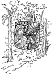 Scene from the story, "Little Red Ridinghood."