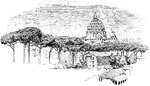 "The Dome of St. Peter's from the Janiculan." &mdash; Young, 1901