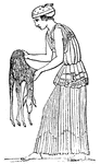 "A Nebris is a fawn's skin, worn originally by hunters and others, as an appropriate part of their dress, and afterwards attributed to Bacchus, and consequently assumed by his votaries in the processions and ceremonies which they observed in honour of him. The annexed woodcut taken from Sir William Hamilton's vases, shows a riestess of Bacchus in the attitude of offering a nebris to him or to one of his ministers." &mdash; Smith, 1873