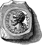 Coin stamp to stamp coins with the image of Marius.