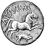 The Coin of the King of the Suessiones, Diviciacus, with bust on front and prancing horse on back. Back.