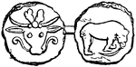 Coin of the Gauls picturing deer on front and animal on back.