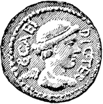 Coin of L. Plancus showing bust on front and amphora on back. Front.