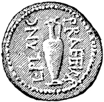 Coin of L. Plancus showing bust on front and amphora on back. Back.