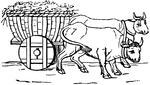 "A cart or wagon. It had commonly two wheels, but sometimes four, and it was then called the plaustrum majus. Besides the wheels and axle the plaustrum consisted of a strong pole (temo), to the hinder part of which was fastened a table of wooden planks. The blocks of stone, or other things to be carried, were either laid upon this table without any other support, or an additional security was obtained by the use either of boards at the sides, or of a large wicker basket tied upon the cart. The annexed cut exhibits a cart, the body of which is supplied by a basket. The commonest kind of cart-wheel was that called tympanum, the "drum," from its resemblance to the musical instrument of the same name. It was nearly a foot in thickness, and was made either by sawing the trunk of a tree across in a horizontal direction, or by nailing together boards of the requisite shape and size. These wheels advanced slowly, and made a loud creaking, which was heard to a great distance." &mdash; Smith, 1873
