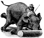 An elephant rolling a log