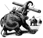 An elephant carrying a log
